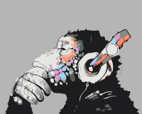 Pictura cu diamante după numere PRC Maimuta DJ 40x50 (05851)