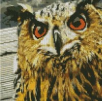 Pictura cu diamante după numere Strateg Сова (CA-0050)