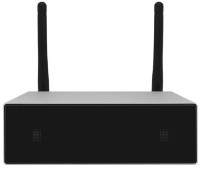 Amplificator de semnal Dsppa DW0250