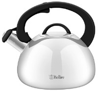 Ceainic Bollire BR-3006