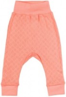 Детские спортивные штаны Veres Sweet Family 68cm (104-2.73.68)