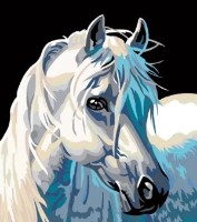 Картина по номерам PRC Calul Alb (03017)