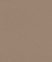 Обои Rasch 752724 African Queen III