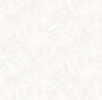 Tapete Victoria Stenova 285185 Raffael