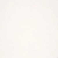 Обои Fipar R11580 Modeli Magici