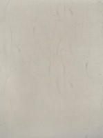 Обои Fipar R23311 Felicita