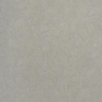 Обои Fipar R23321 Felicita