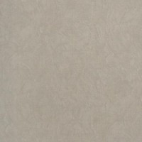 Обои Fipar R23324 Felicita