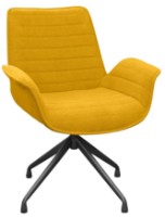 Кресло Deco Moon Curio 48