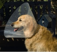 Защитный воротник Beeztees Veterinary Collar (796006)