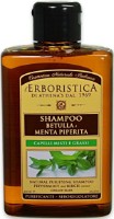 Șampon pentru păr L'Erboristica Birch & Mint Shampoo 300ml