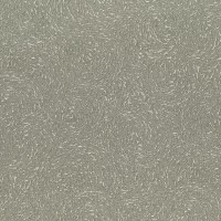 Tapete Rasch 920451 Varvara