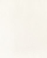 Обои Solo Decor E201809 Willow