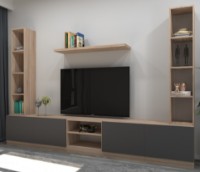 Living Arta Mobilei G17 AM128 Gray