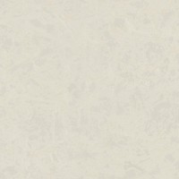 Tapete Zambaiti Parati 80016 Philipp Plein