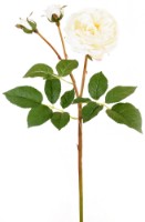 Декоративный цветок Casa Masa Austin 55cm (L21858/WH)