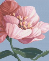 Картина по номерам Brushme Цветение (BS53759)