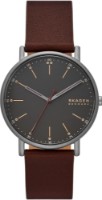 Наручные часы Skagen SKW6860
