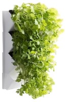 Фитомодуль Aquael Versa Garden Herbs (113282)