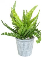 Декоративный цветок Casa Masa 30cm (8931290500)