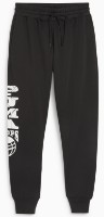 Мужские спортивные штаны Puma Posterize 2.0 Pant Puma Black S