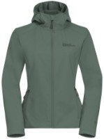 Женская ветровка Jack Wolfskin Bornberg Hoody W Teal, s.L
