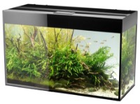 Аквариум Aquael Glossy 100 (112649)