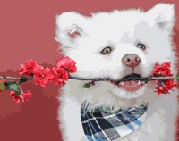 Картина по номерам Strateg Белый джентльмен (GS948)