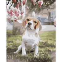 Картина по номерам Strateg Бигль под магнолией (GS944)