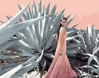 Картина по номерам Strateg Возле алоэ (GS1322)