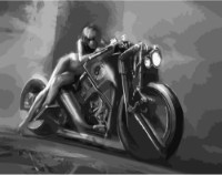 Картина по номерам Strateg Девушка на байке (DY207)