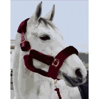 Tablou pe numere Strateg Душа прерий (DY382)