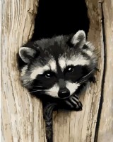 Картина по номерам Strateg Загадочный енот (GS1125)