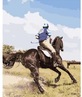 Картина по номерам Strateg Конные соревнования (GS288)