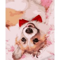 Картина по номерам Strateg Корги с галстуком (HH012)