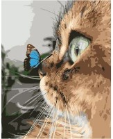 Tablou pe numere Strateg Котик с бабочкой (DY021)