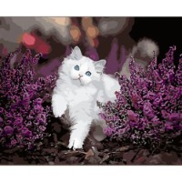 Tablou pe numere Strateg Котик с голубыми глазами (GS1606)