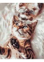 Картина по номерам Strateg Котик с ежиком (GS1049)