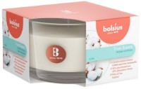Свеча Bolsius 101925256771