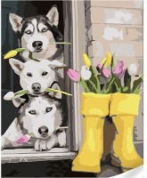 Tablou pe numere Strateg Красивые хаски (SS1136)