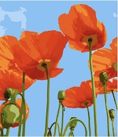 Картина по номерам Strateg Маки в небе (SS1007)