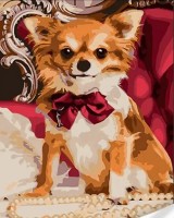 Tablou pe numere Strateg Маленькая Чихуахуа (SS1058)