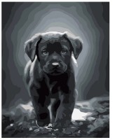 Картина по номерам Strateg Маленький лабрадор (DY277)