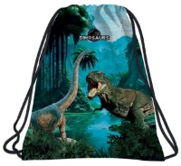Sac pentru încălțăminte Derform Dinosaurs WODN19    