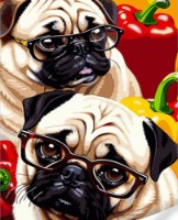 Картина по номерам Strateg Мопсы с перчинкой (GS1624)