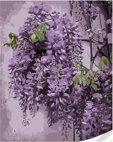 Картина по номерам Strateg Нежная глициния (SS1082)