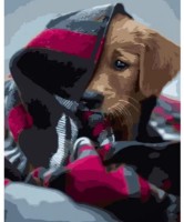 Картина по номерам Strateg Песик под одеялом (GS1296)