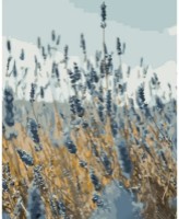 Картина по номерам Strateg Полевые цветы (GS923)