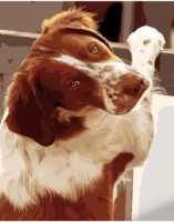 Картина по номерам Strateg Преданный взгляд (GS1115)