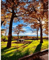 Картина по номерам Strateg Прогулка осенью (GS964)